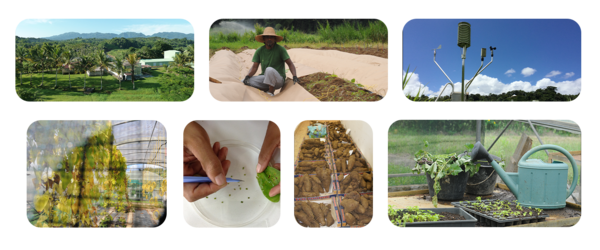 Mosa&iuml;que de sept photos : station de recherche, pose de paillage, station m&eacute;t&eacute;o, serre, laboratoire, r&eacute;colte et semis